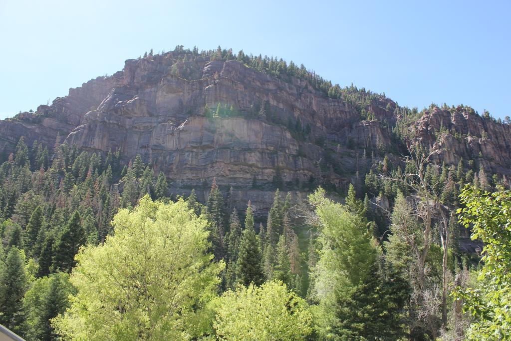 Black Bear Manor Ouray Exterior foto